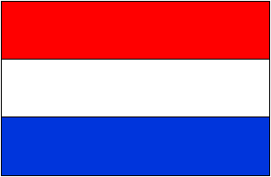 NED logo